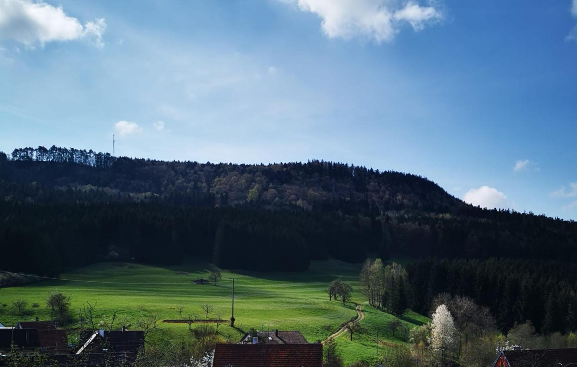 Ferienwohnung Blick Rappenstein Hausen am Tann Exteriör bild