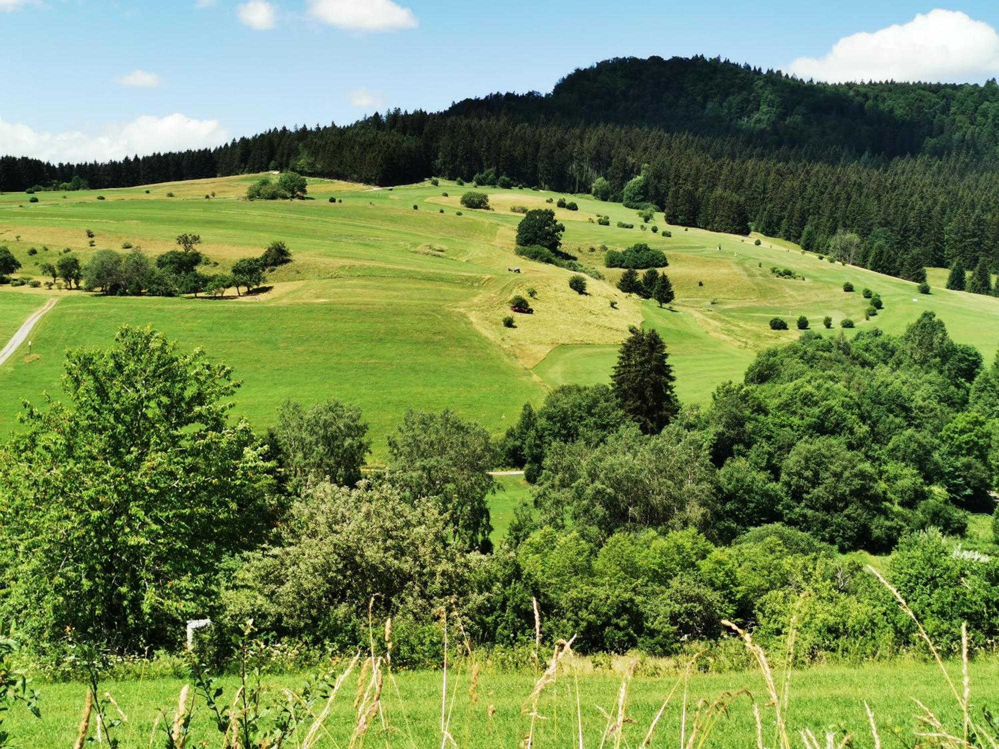 Ferienwohnung Blick Rappenstein Hausen am Tann Exteriör bild