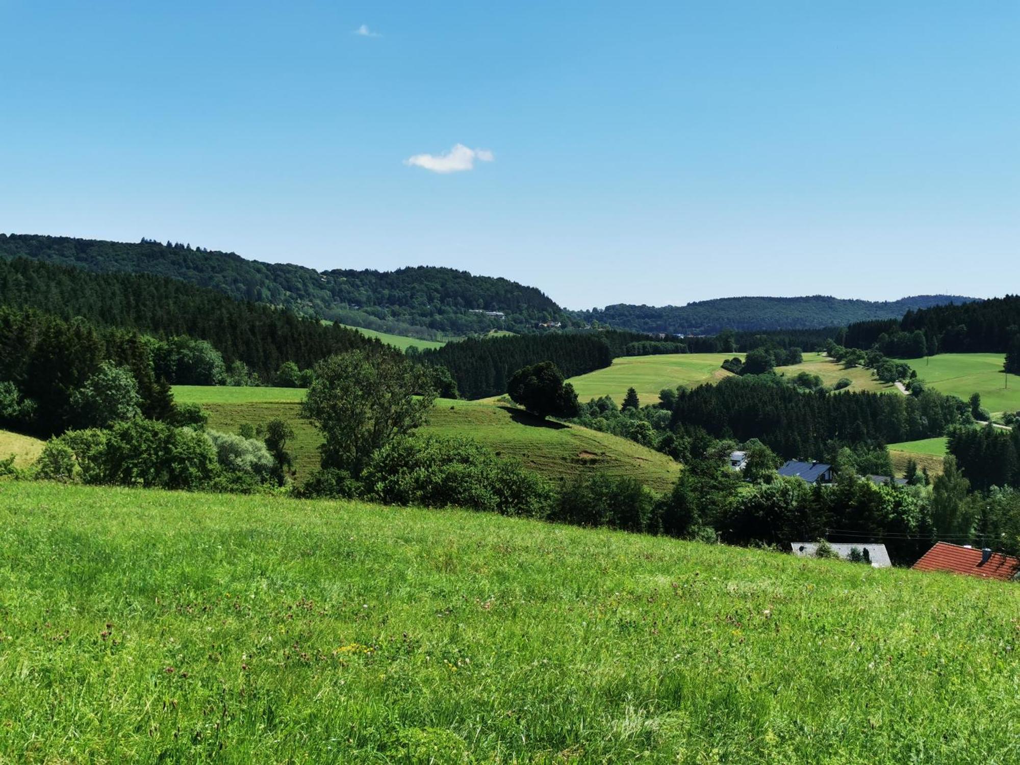 Ferienwohnung Blick Rappenstein Hausen am Tann Exteriör bild